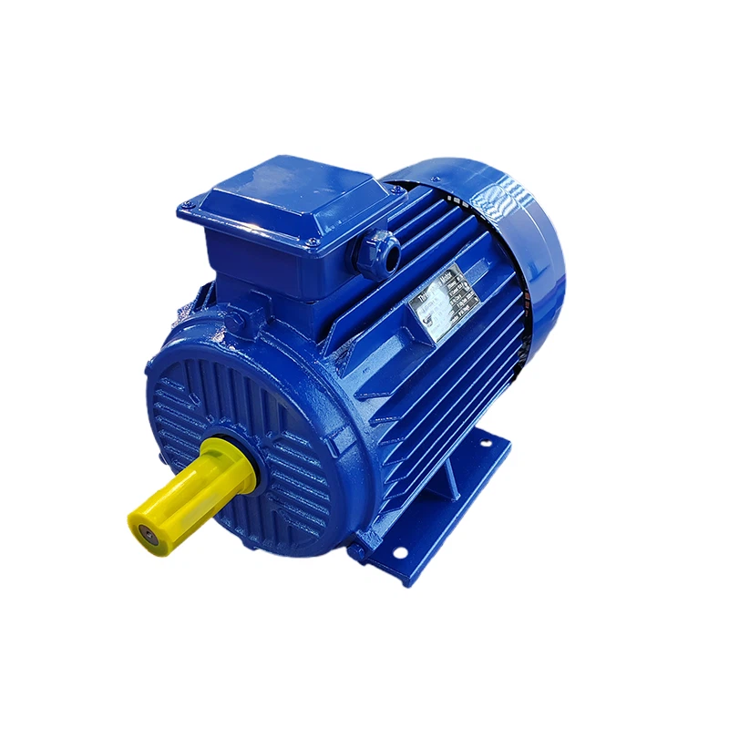 Dual Shaft AC Motor
