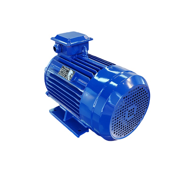 Waterproof AC Motor